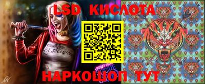 apvp Свободный