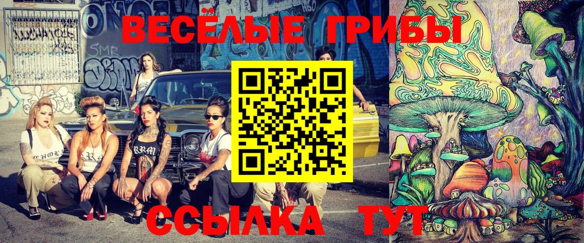 Галлюциногенные грибы прущие грибы  купить наркотики цена  Нефтекамск  Вход с VPN 